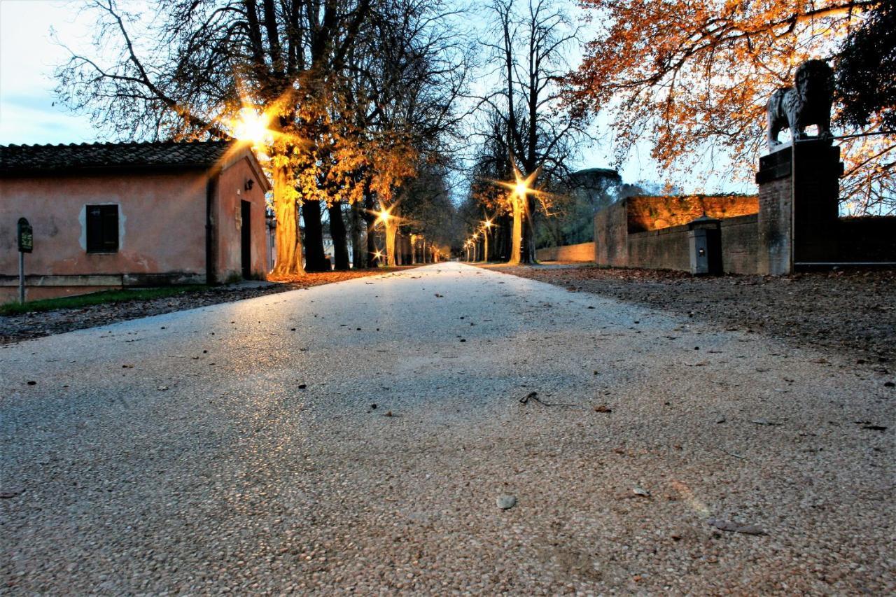 Finca Del Sol Лука Екстериор снимка